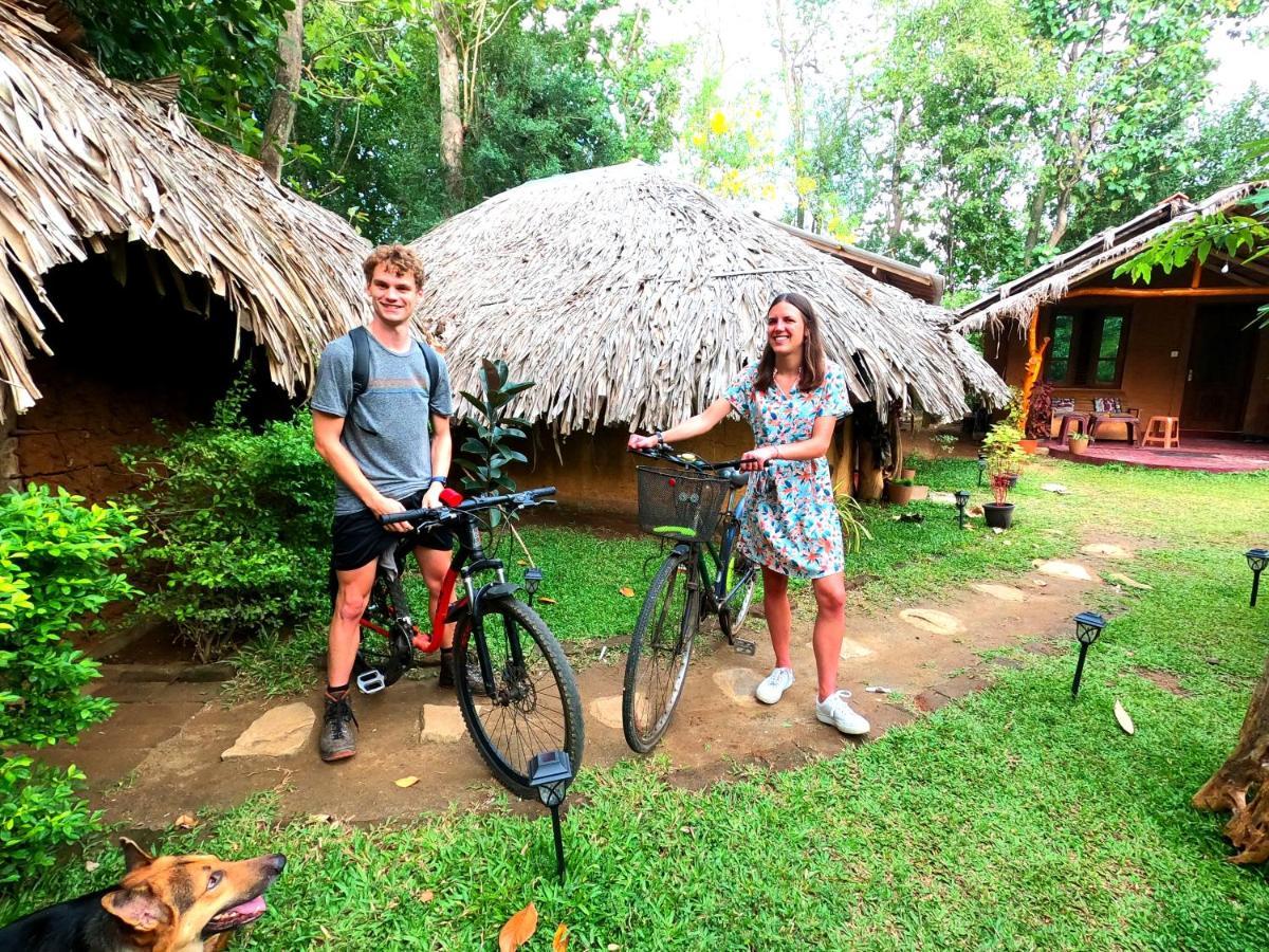 Hasthi Safari Cottage Udawalawe Exteriér fotografie