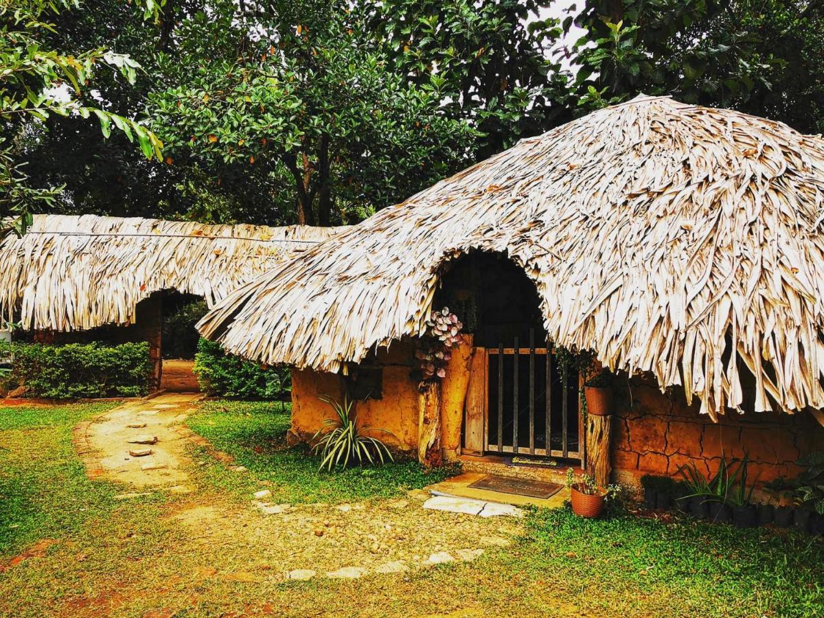 Hasthi Safari Cottage Udawalawe Exteriér fotografie