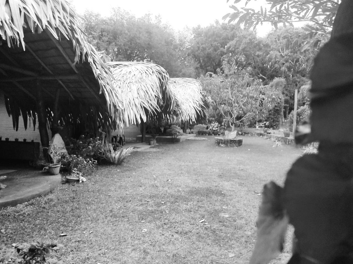 Hasthi Safari Cottage Udawalawe Exteriér fotografie