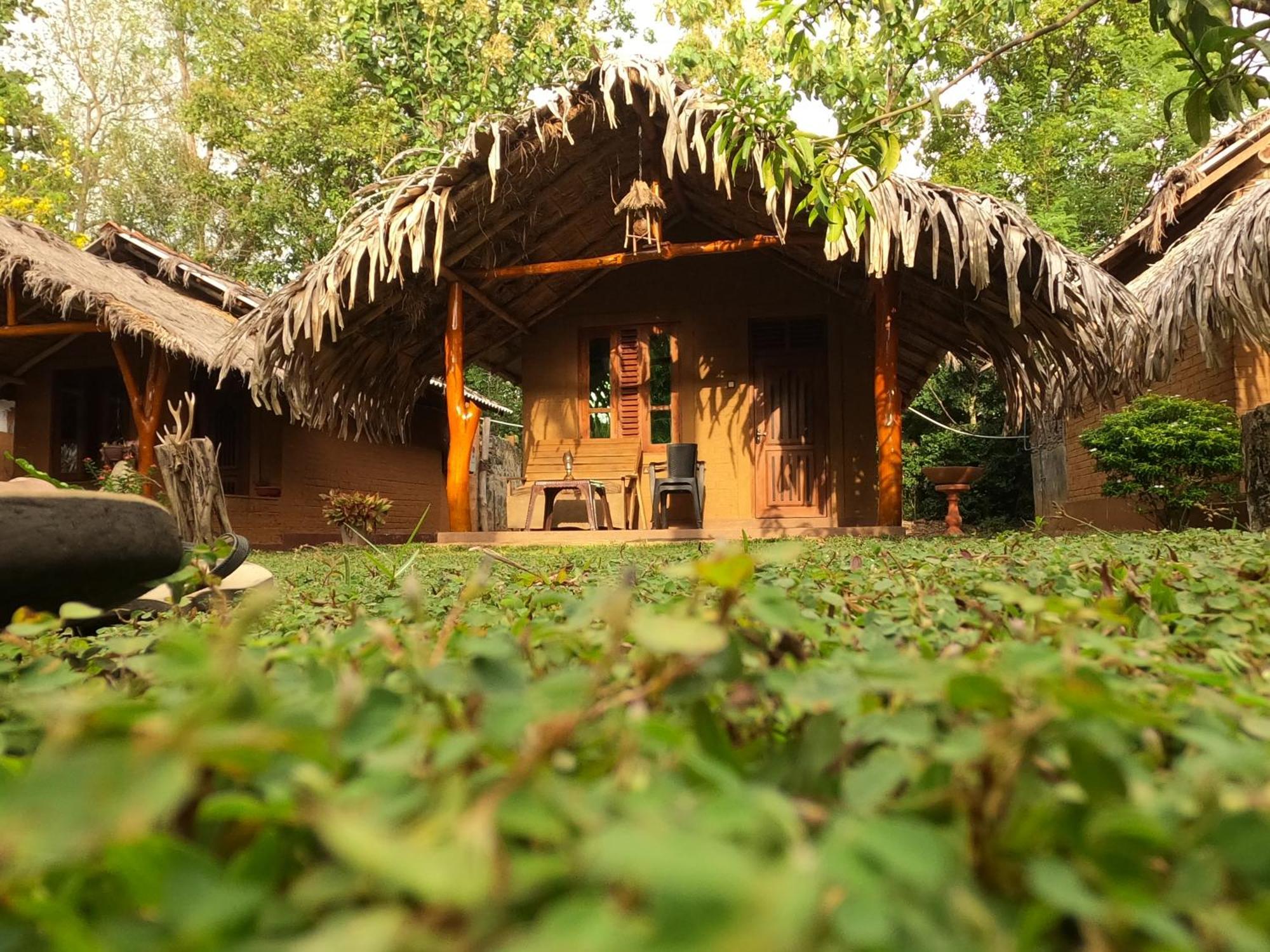 Hasthi Safari Cottage Udawalawe Exteriér fotografie