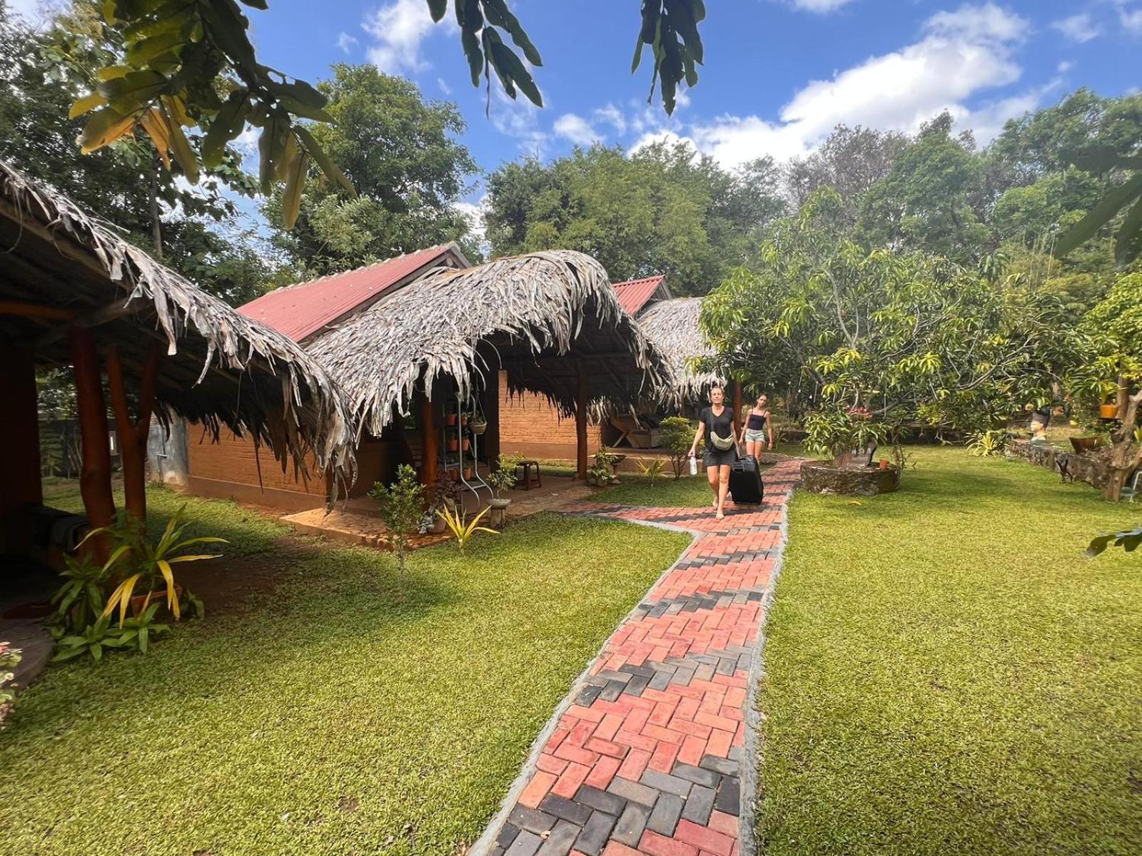 Hasthi Safari Cottage Udawalawe Exteriér fotografie
