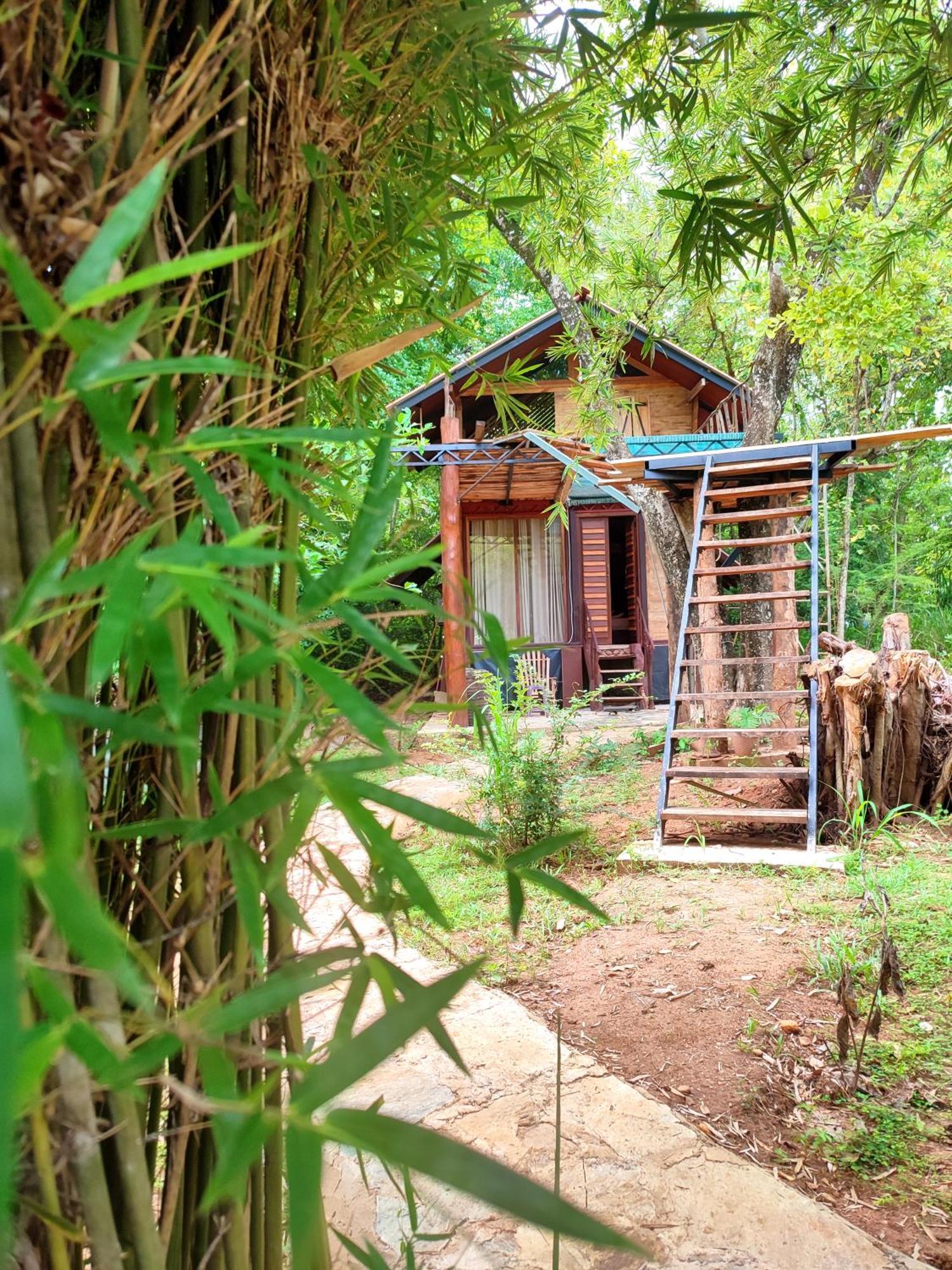 Hasthi Safari Cottage Udawalawe Exteriér fotografie