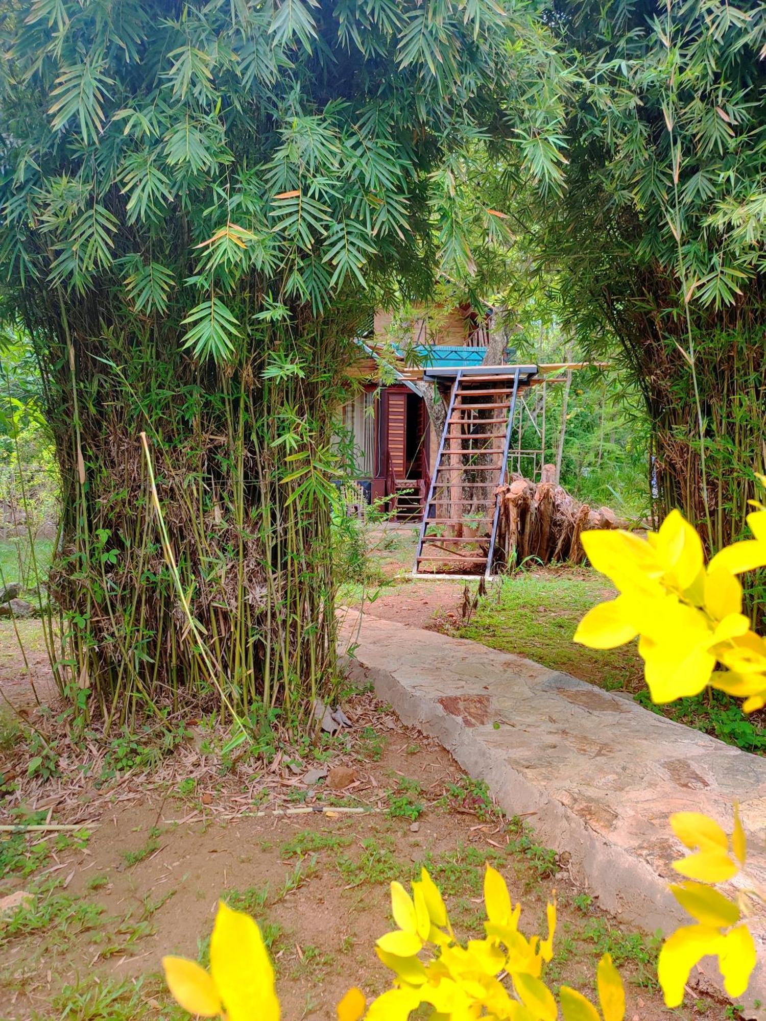 Hasthi Safari Cottage Udawalawe Exteriér fotografie