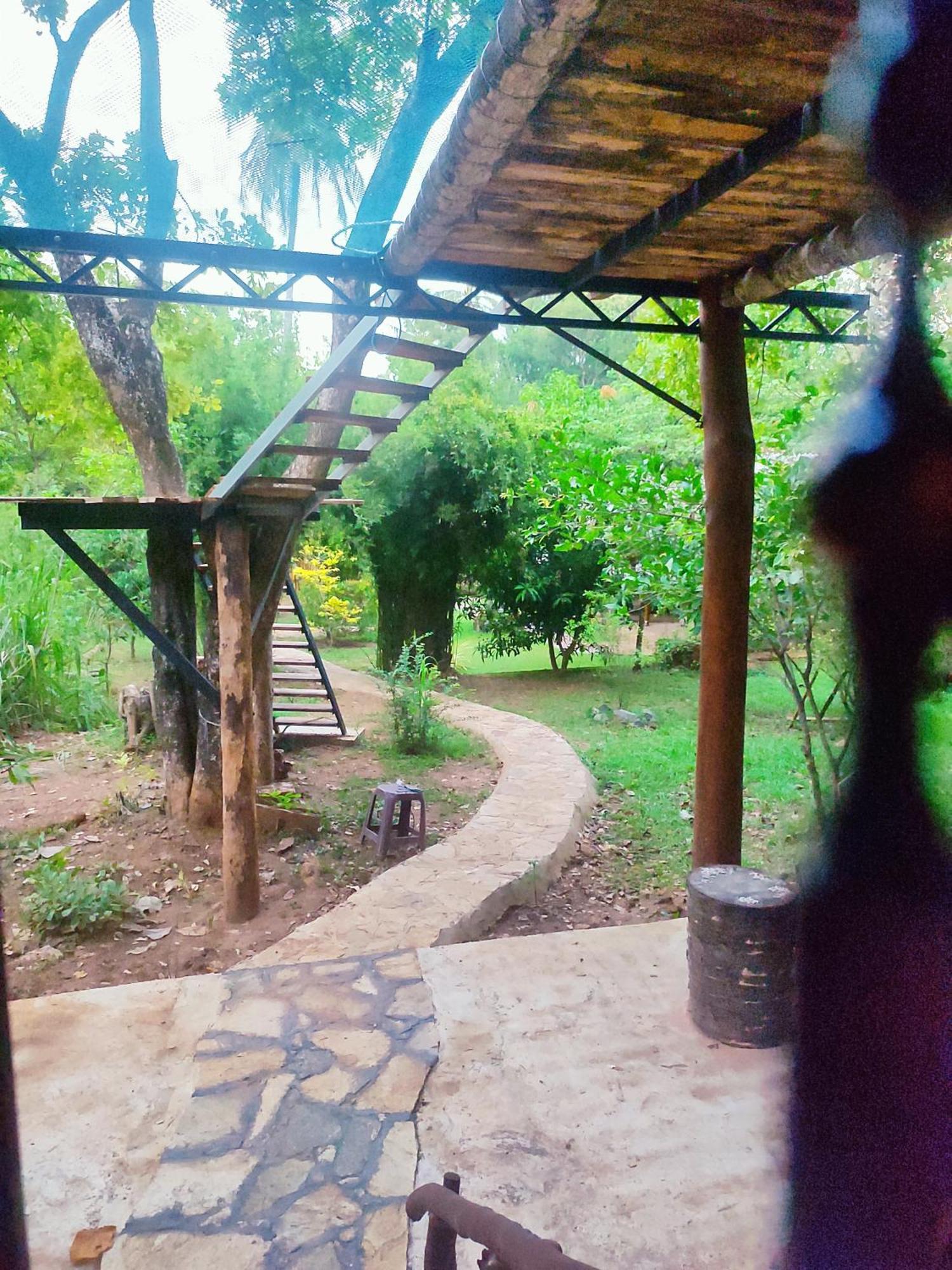 Hasthi Safari Cottage Udawalawe Exteriér fotografie