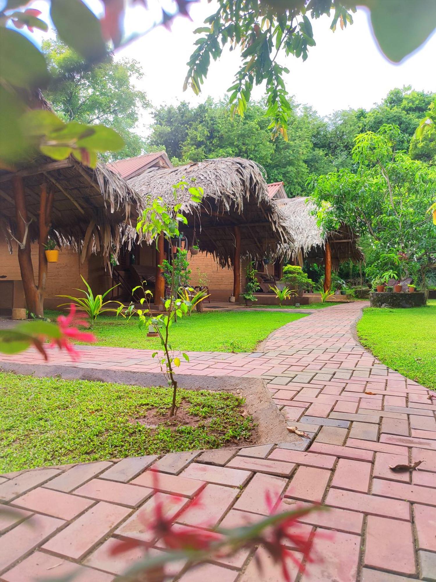Hasthi Safari Cottage Udawalawe Exteriér fotografie
