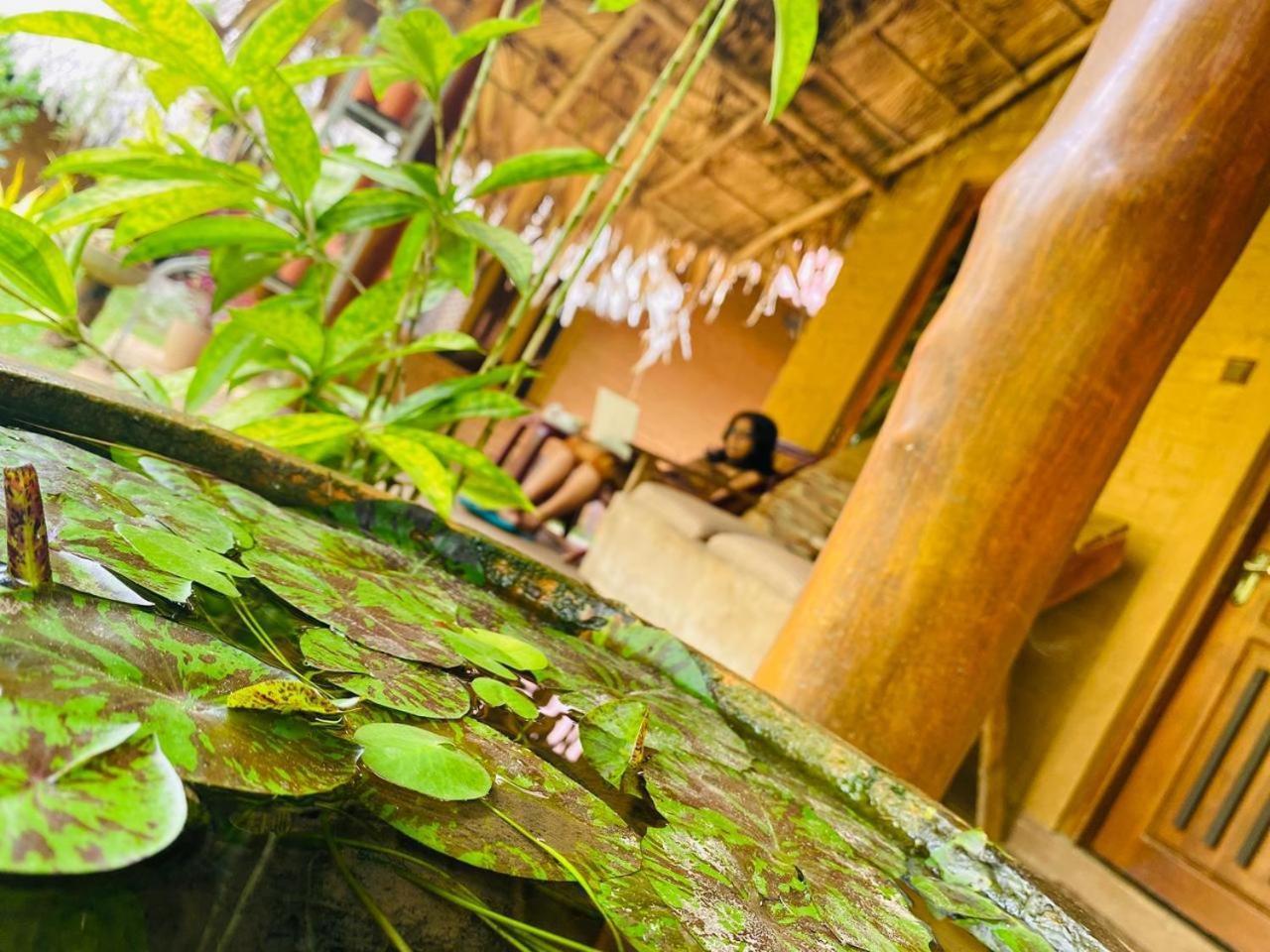 Hasthi Safari Cottage Udawalawe Exteriér fotografie