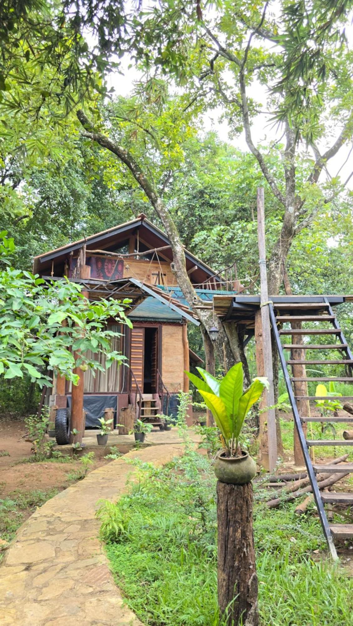 Hasthi Safari Cottage Udawalawe Exteriér fotografie