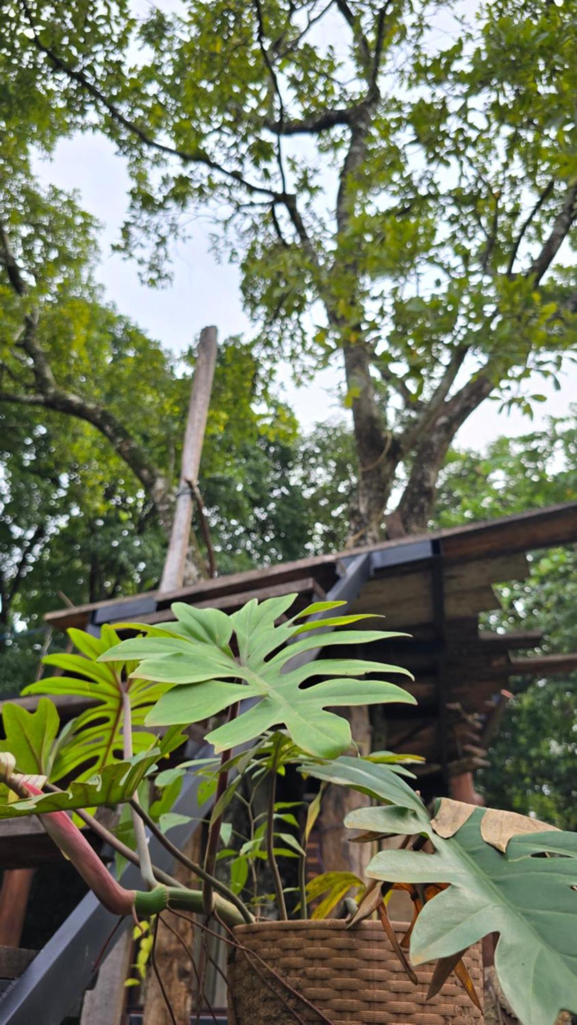 Hasthi Safari Cottage Udawalawe Exteriér fotografie